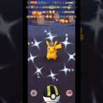 ✨【ポケモンGO】【激レア】【世界初かも】【サッカー】✨REALポケ活実戦中✨激レア野生出現✨色違い名探偵ピカチュウちゃんボレーシュート決めたよ✨⚽️❤️‍🔥🥰😎✨ゾロアちゃんも一緒に✨🐈🙈