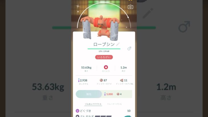 【ポケモンGO】ドッコラーコミュニティ・ディ☆色違いシンカ動画‼️@arata.channel .japan.Oct2023 #shorts