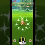 ✨【ポケモンGO】【世界初かも？】【激レア】【神引き】【奇跡】✨時刻✨１５時４４分✨ちっちゃい✨色違いドッコラーちゃん✨@crystalquartzm 奇跡を掴みました✨🤲🏼❤️‍🔥☺️🥰