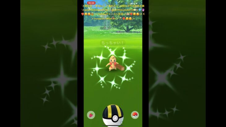 ✨【ポケモンGO】【世界初かも？】【激レア】【神引き】【奇跡】✨時刻✨１５時４４分✨ちっちゃい✨色違いドッコラーちゃん✨@crystalquartzm 奇跡を掴みました✨🤲🏼❤️‍🔥☺️🥰