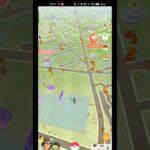 ポケモンGO街が一気にハロウィンに変わる瞬間#shorts