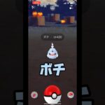 【ポケモンGO】新しいワンワンが仲間入りです#shorts