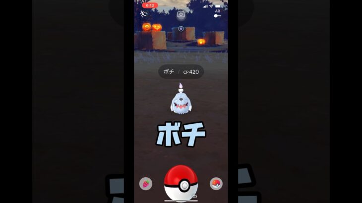 【ポケモンGO】新しいワンワンが仲間入りです#shorts