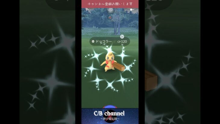 【ポケモンGO】ドッコラーコミュニティディ色違い結果報告#shorts