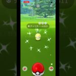 【ポケモンGO】おさんぽおこうから「あの色違い」が！#shorts