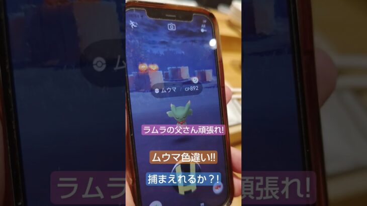 【ポケモン色違い!】ポケモンGo ムウマ色違い発見しました!!!🌟ラムラの父さん頑張れ!Getなるか？
