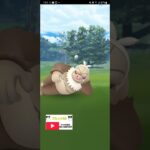 【PokemonGO】野生でレアポケモン!!　キタァァァ!!【ブルックGO】【ポケモンGO】 #shorts