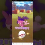 PokemonGo⭐色違い⭐シャドウ⭐Shiny⭐ポケモンGO⭐エイパム⭐激レア❓️