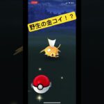 野生のコイキング色違い！？#ポケモンgo  #ゾロア