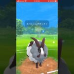 高耐久のバイウールーが強すぎる！！！#ポケモンgo #gbl #スーパーカップ #ポケモン