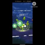 オリーニョを試しにスパークと対戦 #ポケモンgo #ポケモンgoバトルリーグ