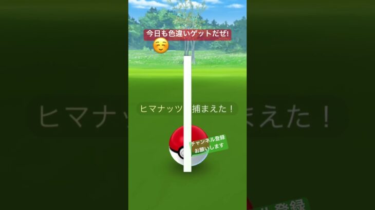 色違い… #ポケモンgo #ポケgo #ポケモン #pokemongo #pokemon #pokémon #色違い #色違いポケモン #ヒマナッツ #チャンネル登録お願いします #shorts