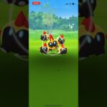 ポケモンgo 野生のタイレーツゲットチャレンジ　#pokemongo