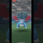 【ポケモンgo】野生のボーマンダ！？#ポケモンgo #ボーマンダ