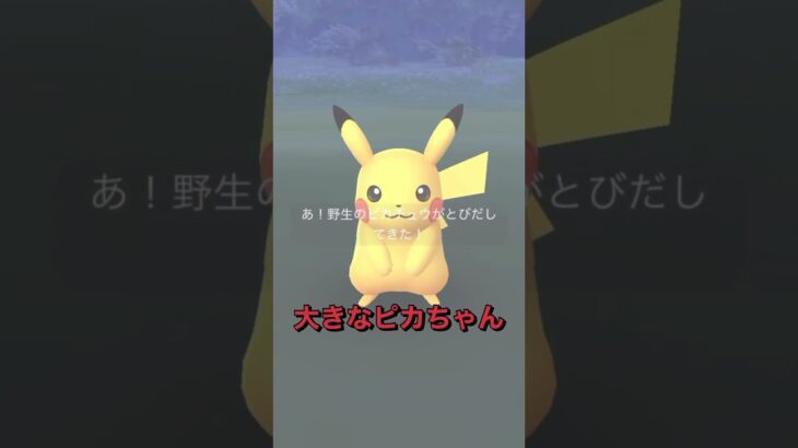 今週のガラル三鳥遭遇ゼロ日記♪ ♪#shorts #ポケモンGO #ポケットモンスター #pokemon #pokemongo #海物語 #ゲームセンター #景品