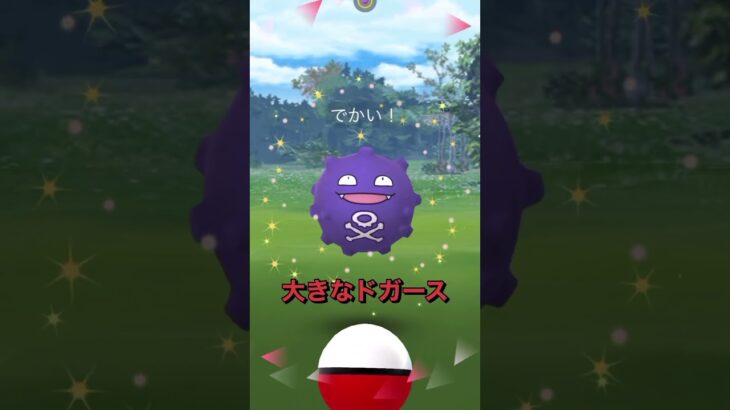 たくさんの出会いシリーズ#shorts #ポケモンGO #ポケットモンスター #pokemon #pokemongo