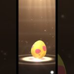 🐣推しが孵化しました🐣#youtubeshorts #ポケカ開封 #ポケモンgo  #pokemoncards