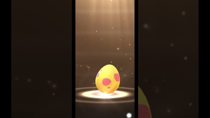 🐣推しが孵化しました🐣#youtubeshorts #ポケカ開封 #ポケモンgo  #pokemoncards