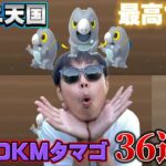 セビエ出まくり！？ヤバすぎる！10KMタマゴ36連【ポケモンGO】