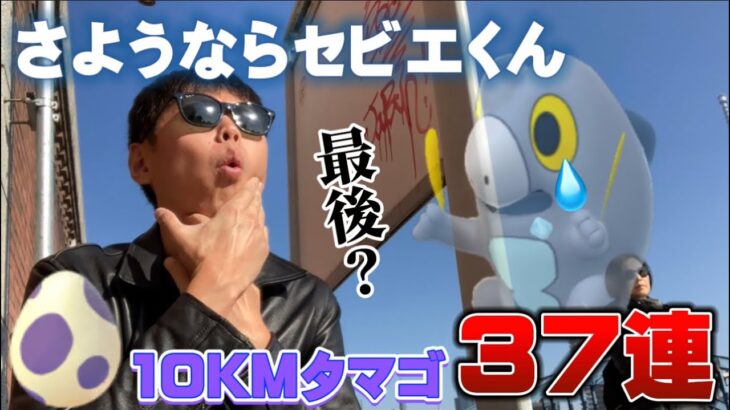 もうお別れ！？恐ろしい結果に…今シーズン最後の10KMタマゴ37連【ポケモンGO】