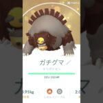 ガチグマガチ勢です。 #ポケモン #123go #ポケモンgo #ガチグマ