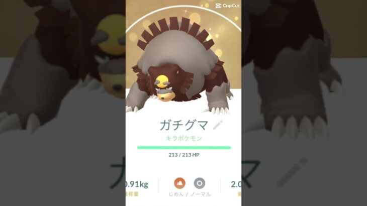 ガチグマガチ勢です。 #ポケモン #123go #ポケモンgo #ガチグマ