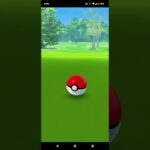 20231108のポケモンgoの原種ポニータ