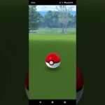 20231109のポケモンgoの原種ロコン