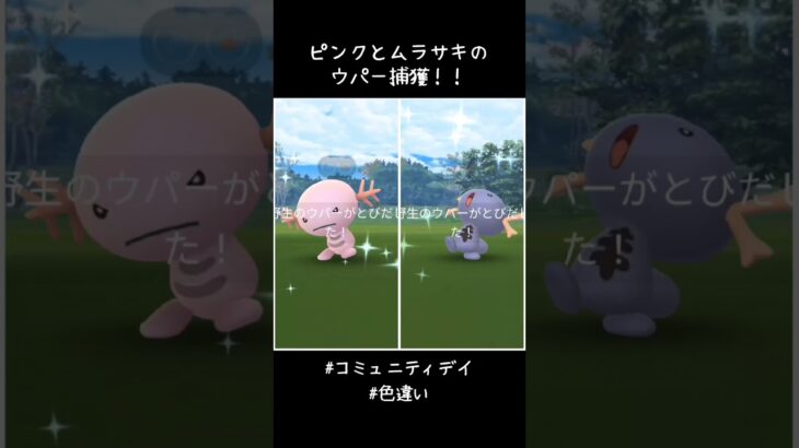 ピンクとムラサキのウパー捕獲✨✨✨どちらもかわいい🥰#ポケモンGO #コミュニティデイ #色違い