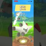 ポケモンGOハイパーリーグ対戦最近少しずつ伸びてきてて嬉しい☺️！みんなありがとー！ #おすすめにのりたい #バズれ #目指せ100万回再生