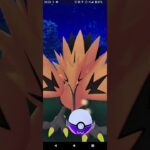 【ポケモンGO】おさんぽおこうで伝説の鳥にボールぶつける動画！最高にキモチぃぃぃ！