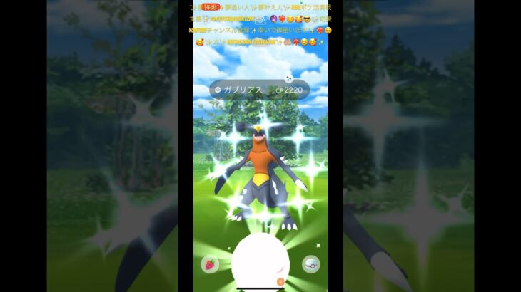 ✨【ポケモンGO】【激レア】【神引き】【二体目】✨🤲🏼❤️‍🔥☺️🥰✨問答無用正真正銘神回神引き✨🤲🏼❤️‍🔥☺️🥰✨二体目✨キラキラ色違いガブリアス降臨✨🤲🏼❤️‍🔥☺️🥰✨