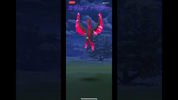 ポケモンGOガラルファイヤーゲットなるか？