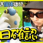 【ポケモンGO】この２種を狙え！復刻版メリープコミュデイの激アツポイントを超解説！色違いヒスイガーディを狙いながらルートバグも検証する前日確認スペシャル！【メガデンリュウ】