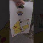 ポケモンGO浅草