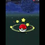 【ポケモンGO】野生の後ろ向き帽子グレッグルに遭遇！