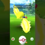 《ポケモンGO》某Ｕネコさんによる捕獲シーン神動画〜レジエレキ編〜