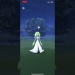 な、なんと　野生のサーナイト　出現😳‼️  しかも　最重量‼️ 最長‼️  ポケモンGO