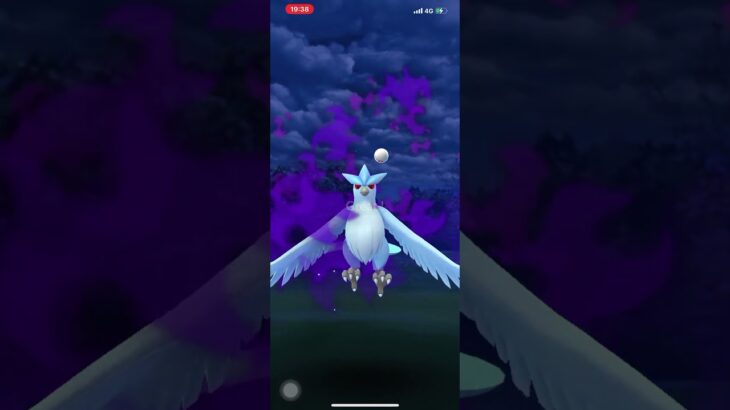 ポケモンGO❗️色違い🌟フリーザー出現😆個体値が…低い😓