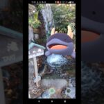 【ポケモンGO】ドオーの日常#ドオー#ウパー