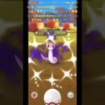 ✨【ポケモンGO】【ポケ活】【神回】【神引き】【色違い】✨激レア過ぎる✨シャドウ色違いミニ龍🐉🐲ちゃん神引き✨家族に迎えましたよ✨皆様は？神引きした方？コメントで教えてね🤲🏼❤️‍🔥☺️🥰