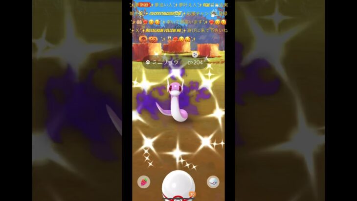 ✨【ポケモンGO】【ポケ活】【神回】【神引き】【色違い】✨激レア過ぎる✨シャドウ色違いミニ龍🐉🐲ちゃん神引き✨家族に迎えましたよ✨皆様は？神引きした方？コメントで教えてね🤲🏼❤️‍🔥☺️🥰