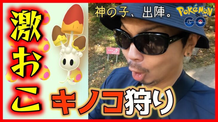 【ポケモンGO】「あの大先輩」が時空を超えて！？色違いネマシュを捕獲せよ！じっくりコトコト煮込んだあったかスープを夢見ていたら「まさかの大事故」勃発スペシャル！【光フェス２日目】