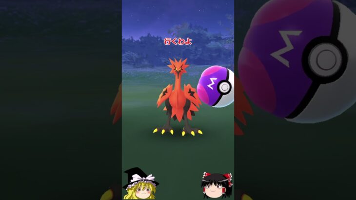 【ポケモンGO】ちっちゃいガラルサンダー出現‼️マスターボールの出番が来た⁉️（ガラル三鳥 チャレンジ 64回目）#shorts