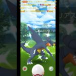 ✨【ポケモンGO】【激レア】【神引き】【色違い】✨🤲🏼❤️‍🔥☺️🥰✨正真正銘神回神引き✨🤲🏼❤️‍🔥☺️🥰✨色違いガブリアス神引き降臨😎✨皆様は何体神引きしましたか？コメントしてね