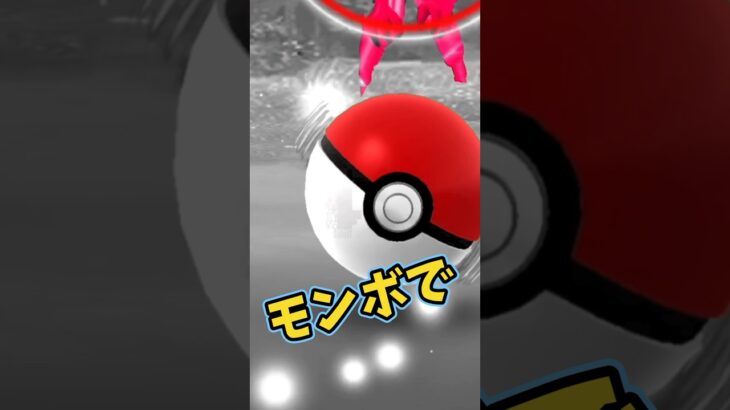 ポケモンGO ガラルファイヤーにモンボで勝負する #ポケモンgo #ガラル三鳥 #おさんぽおこう #shorts