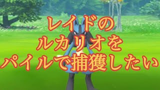 【ポケモンGO】レイドのルカリオをパイルで捕獲したい #shorts