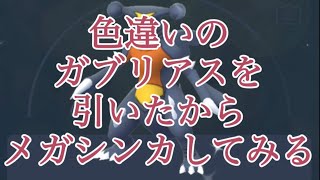 【ポケモンGO】色違いのガブリアスを引いたからメガシンカしてみる #shorts