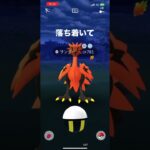 【ポケモンGO】ガラルサンダー降臨！ハイパーボールで、オカルト実施してゲットなるか！？･:*+.(( °ω° ))/.:+