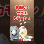 【ポケモンGO】メリープコミュデイバグ？おひろめなし？10キロたまご4連発！セビエ狙い！ #おひろめ #コミニュティデイ